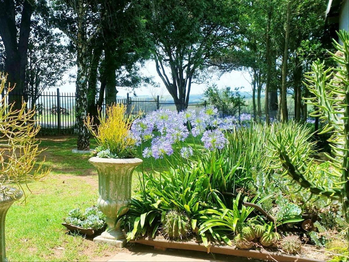 Rand Self-Catering Accommodation Carolina المظهر الخارجي الصورة