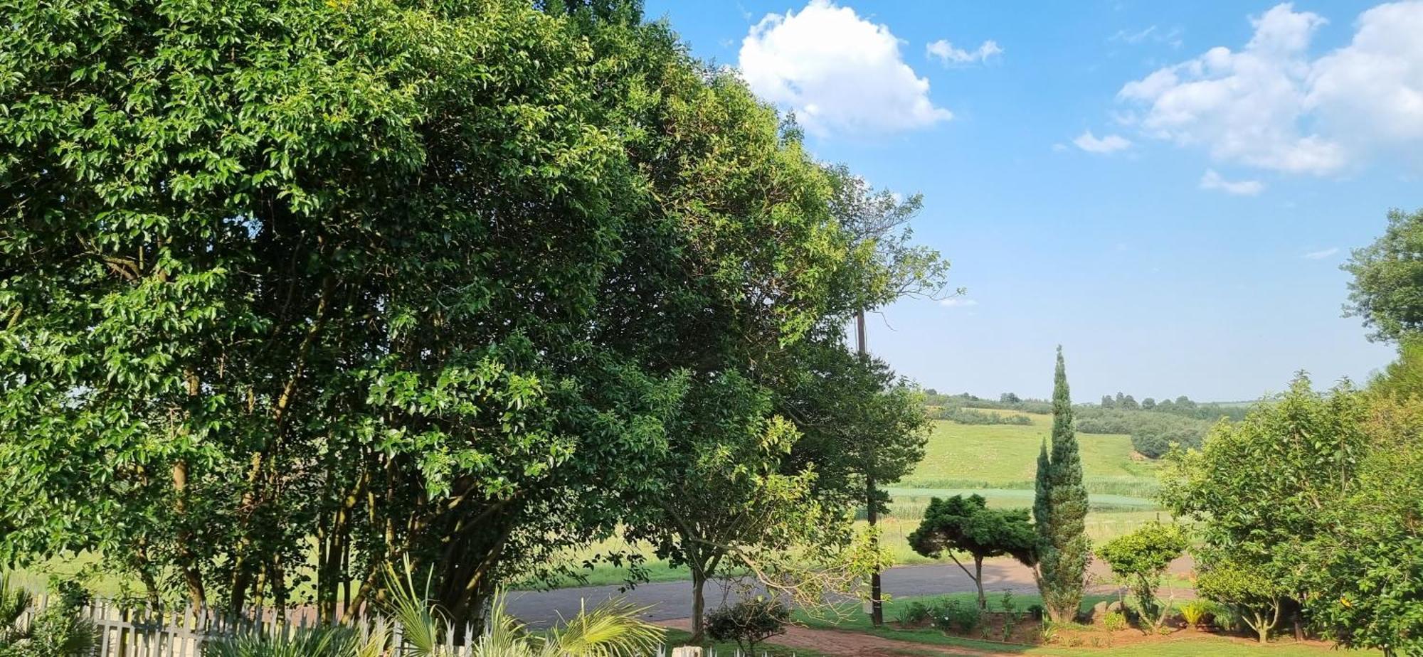Rand Self-Catering Accommodation Carolina المظهر الخارجي الصورة